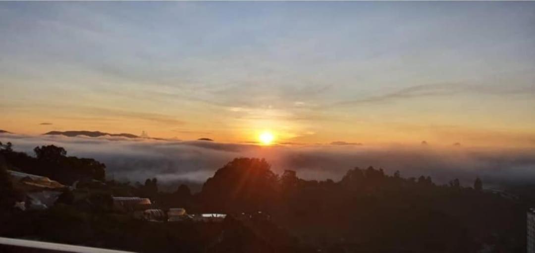Kensington Sunrise Sg, Palas Horizon,Kea Farm Бринчанг Экстерьер фото