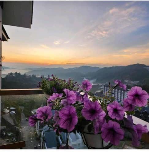 Kensington Sunrise Sg, Palas Horizon,Kea Farm Бринчанг Экстерьер фото