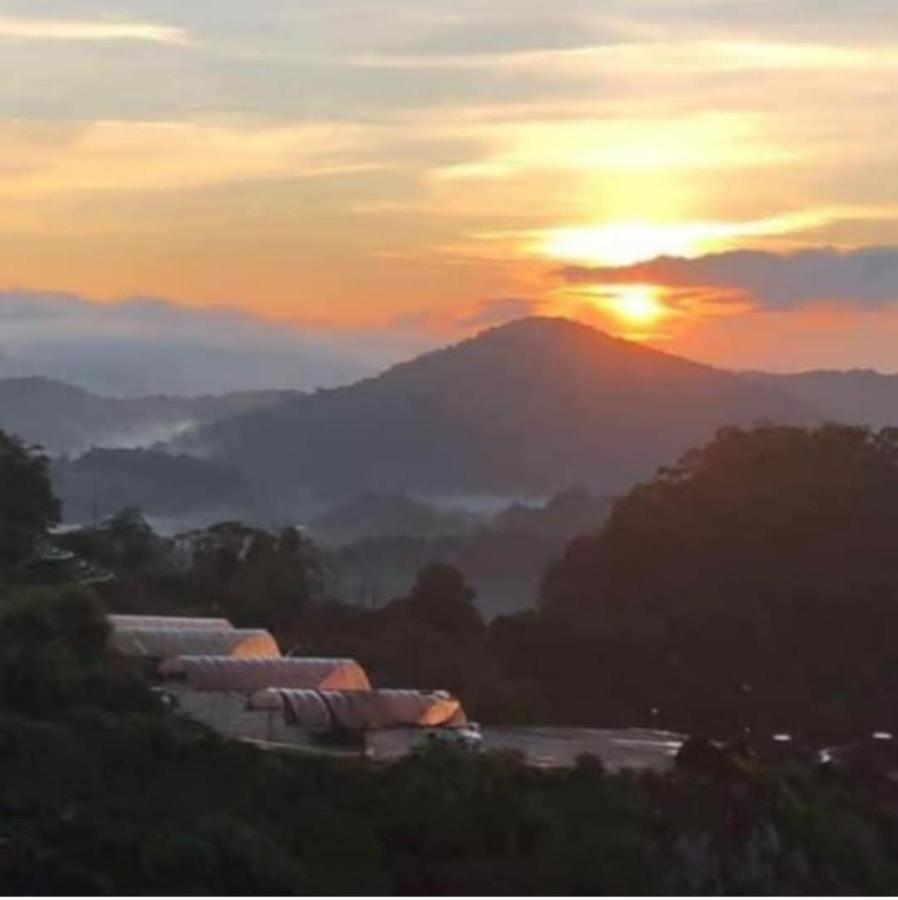 Kensington Sunrise Sg, Palas Horizon,Kea Farm Бринчанг Экстерьер фото