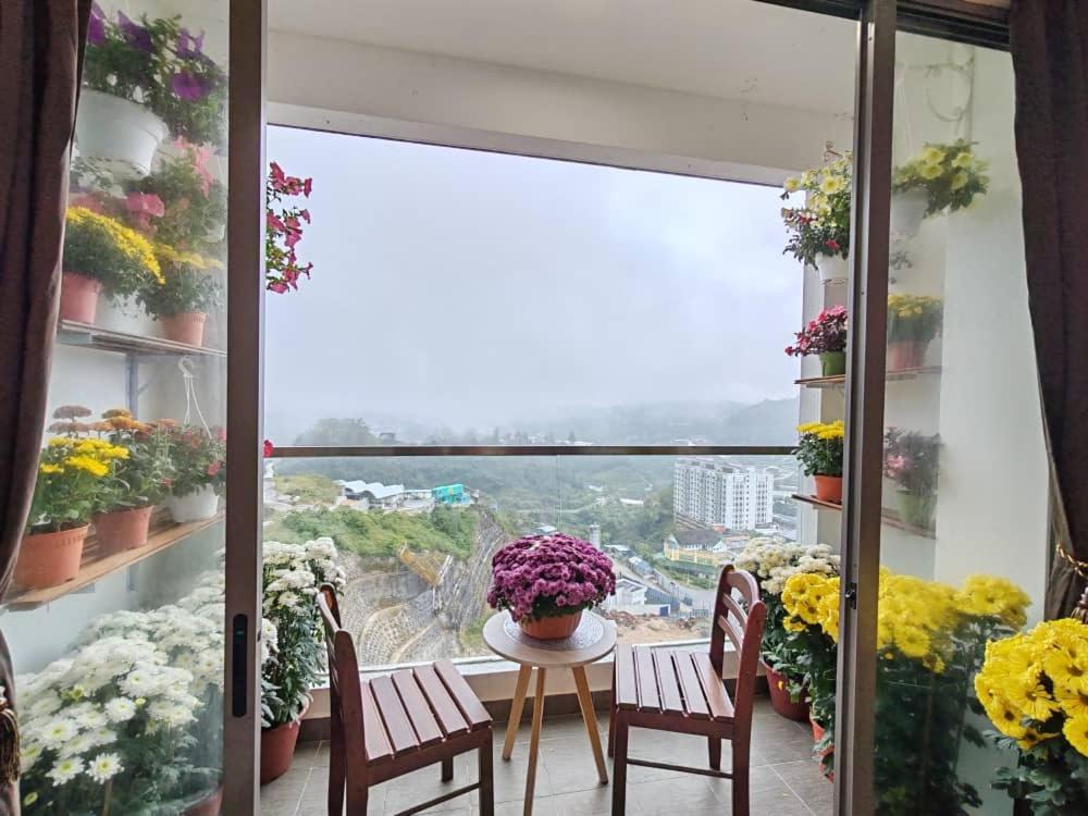 Kensington Sunrise Sg, Palas Horizon,Kea Farm Бринчанг Экстерьер фото
