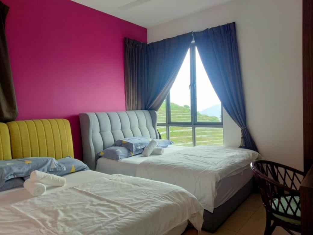 Kensington Sunrise Sg, Palas Horizon,Kea Farm Бринчанг Экстерьер фото